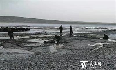 老人和羊陷入沼泽 民警满身泥浆艰难救出