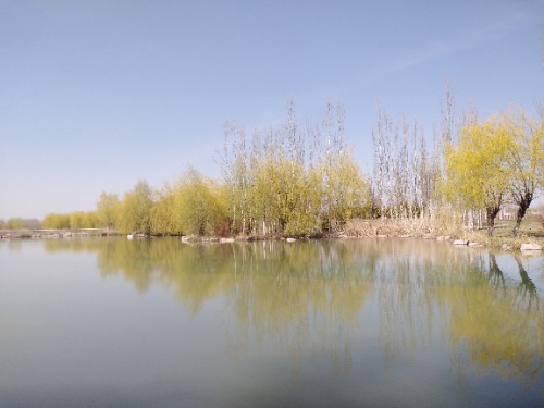 IMG_20230405_151615.jpg