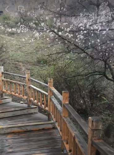 2023年4月21日樱桃李之乡大西沟快乐行