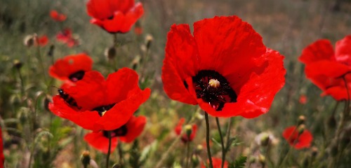 IMG_20230509_125110.jpg