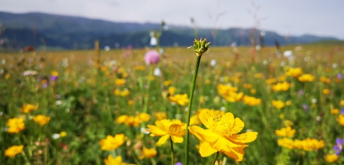 IMG_20220710_102113.jpg