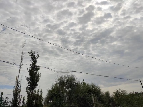 mmexport1693064268495.jpg