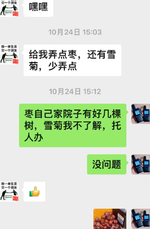 雪菊.png
