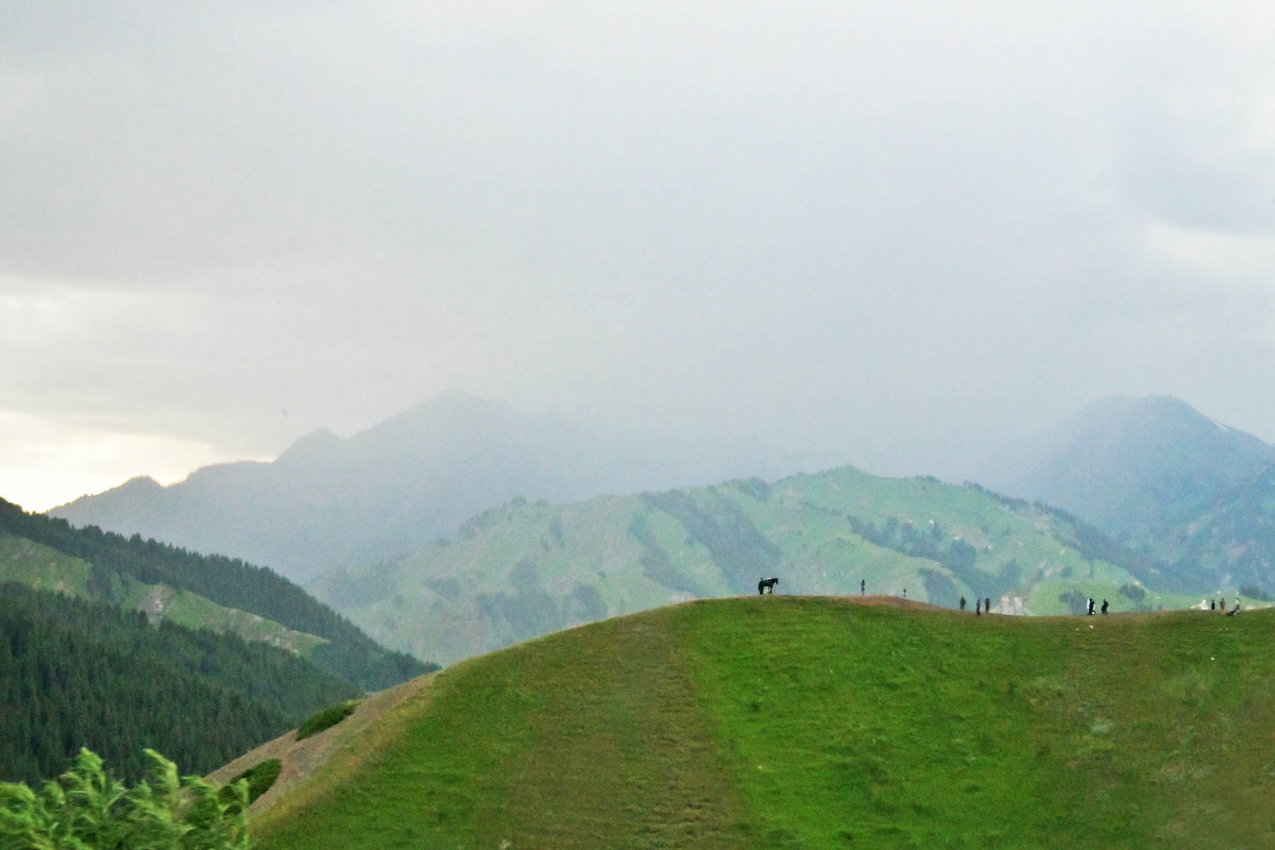 AAA_0315.jpg