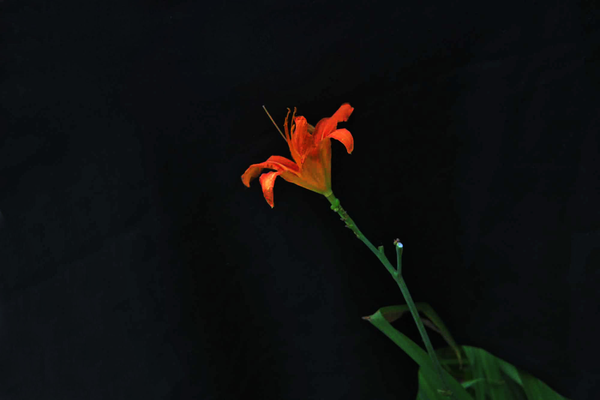 AAA_4666.JPG